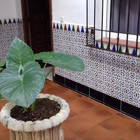 Apartmán Patio Pompeyos Córdoba Exteriér fotografie