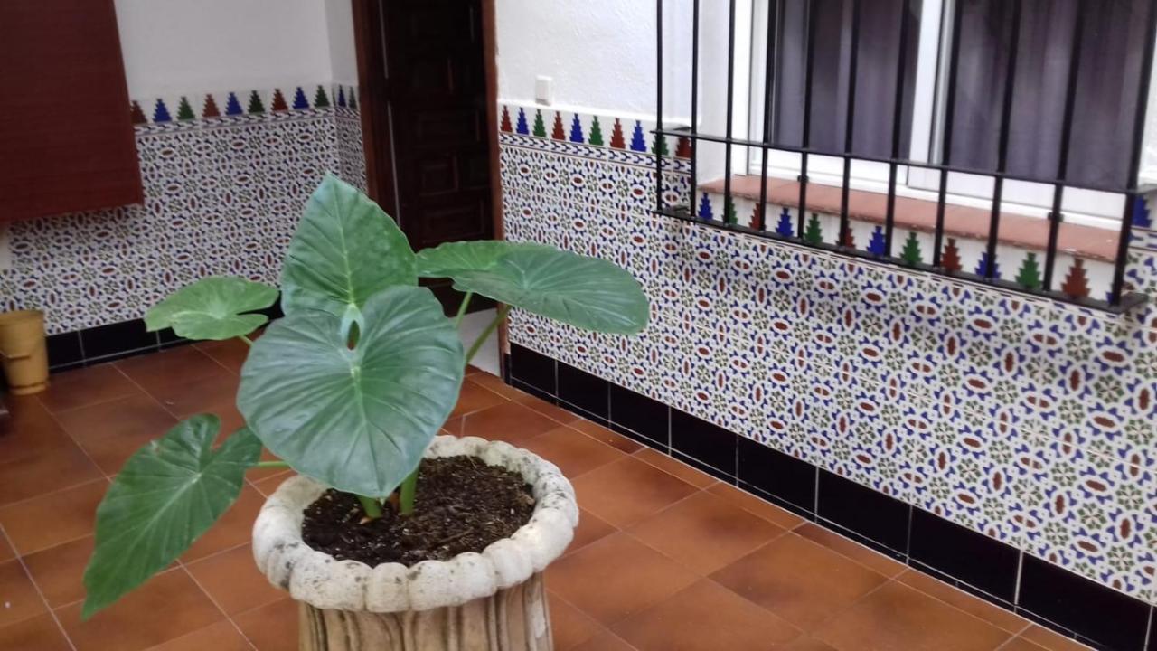 Apartmán Patio Pompeyos Córdoba Exteriér fotografie
